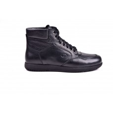 Dexter Portland AT253-1